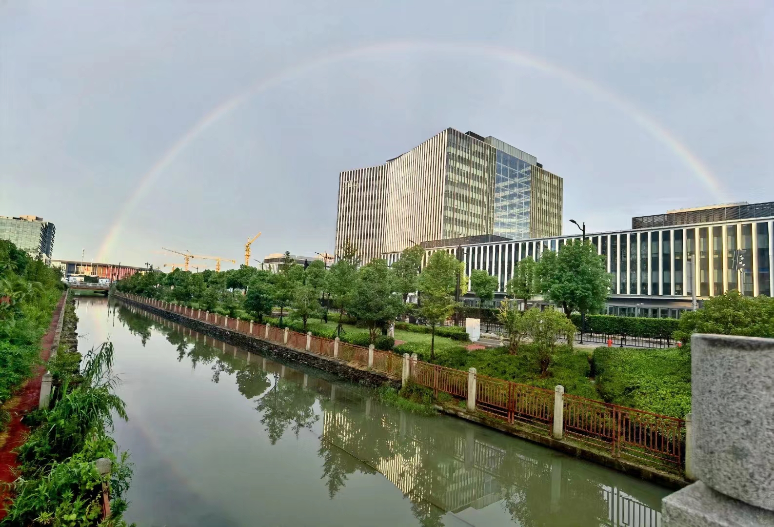 西宁青海队惊艳表现犹如狂风暴雨，场场胜利可期的简单介绍